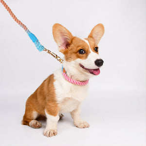 Woven Cotton Pet Leash And Collar Set For Daily Use