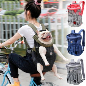 Traveling with Your Pet Made Easy