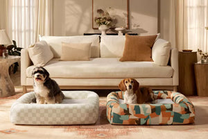 Choosing the Perfect Pet Bed for Comfort