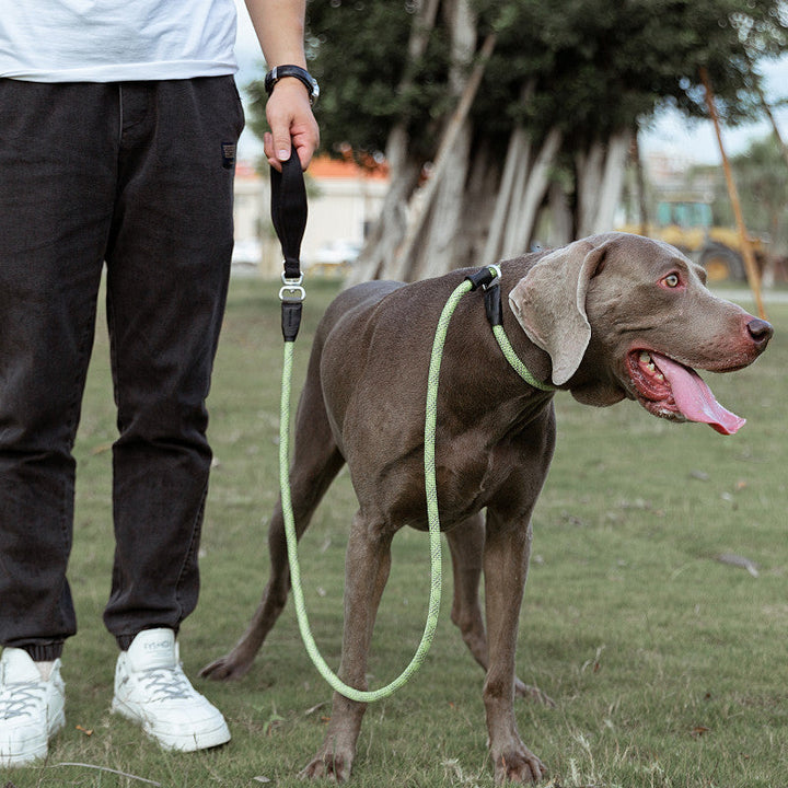 Durable Shock Absorbing Pet Leash For Safe Outdoor Walking