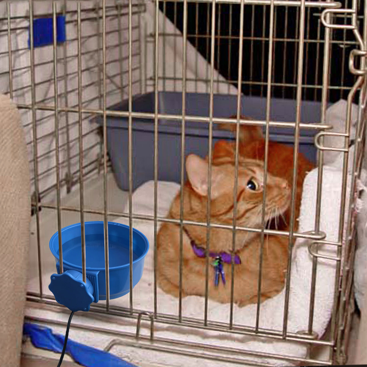 Hanging Pet Food Plate With Insulated Thermostatic Water Bowl