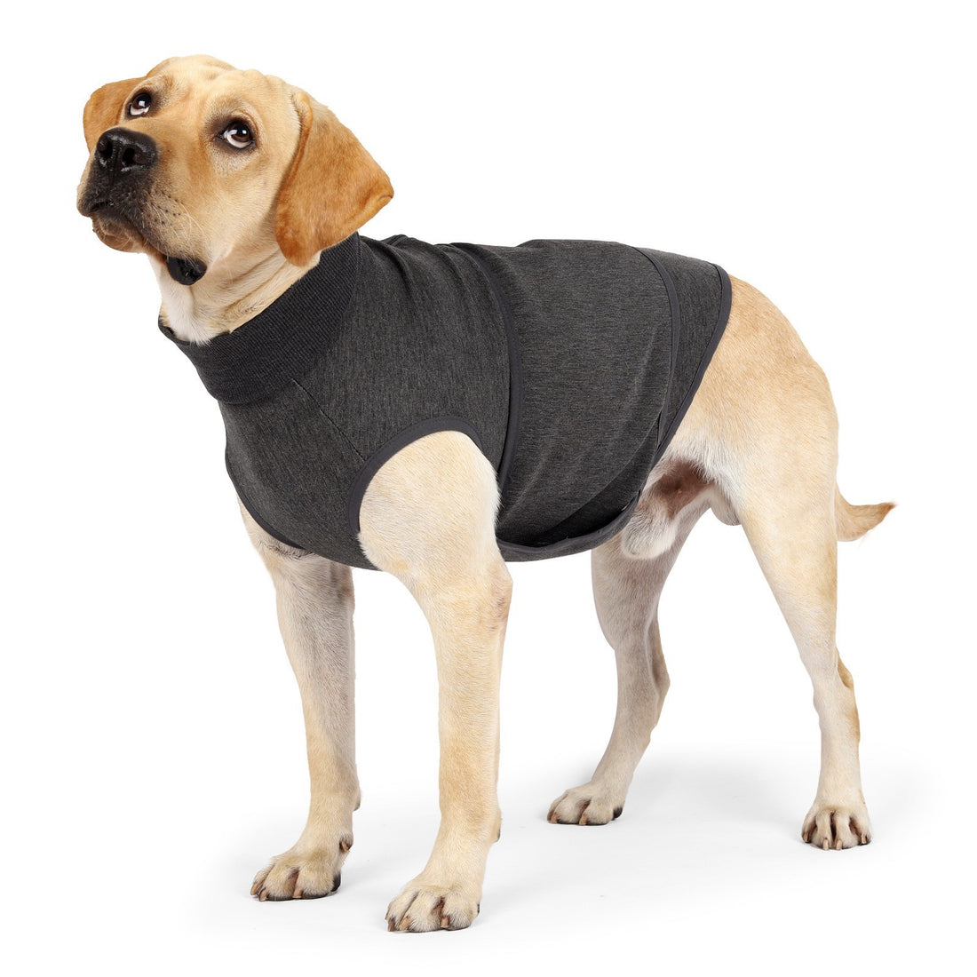 Polyester Cotton Pet Comfort Jacket With Double Layer Design