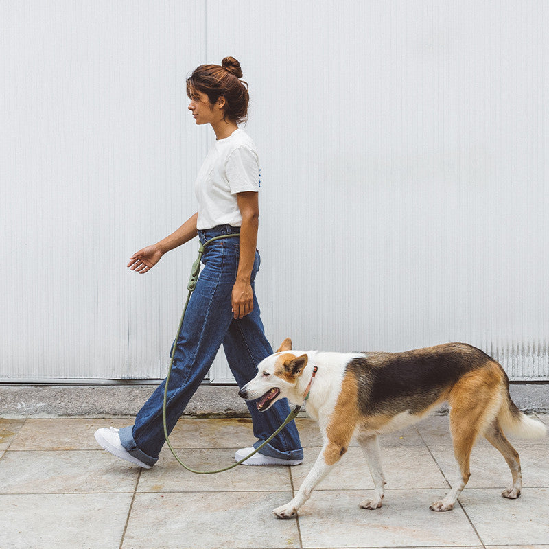 Minimalist Crossbody Pet Leash For Stylish Everyday Walking