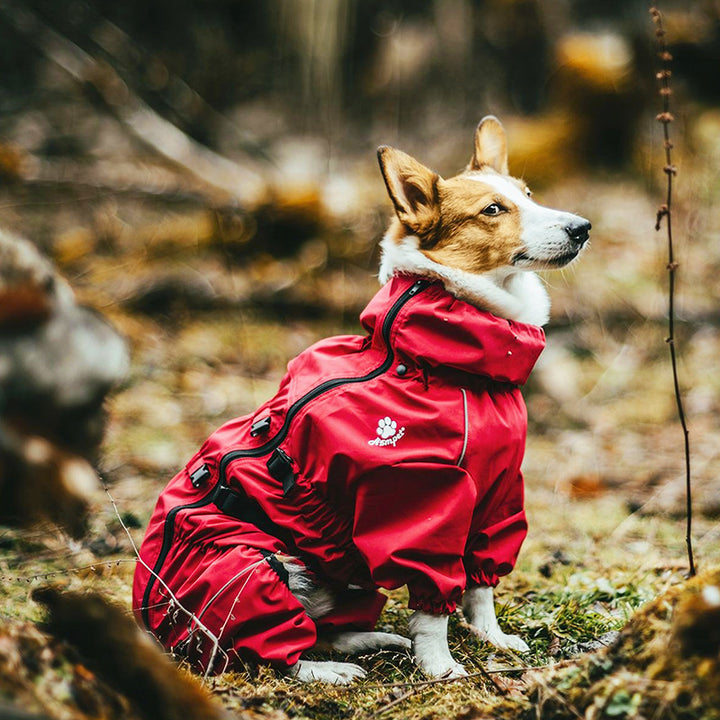 Four Legged Full Coverage Pet Sweater For Warm Comfort