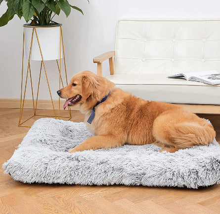 Plush Square Pet Bed With Memory Foam For Deep Sleep