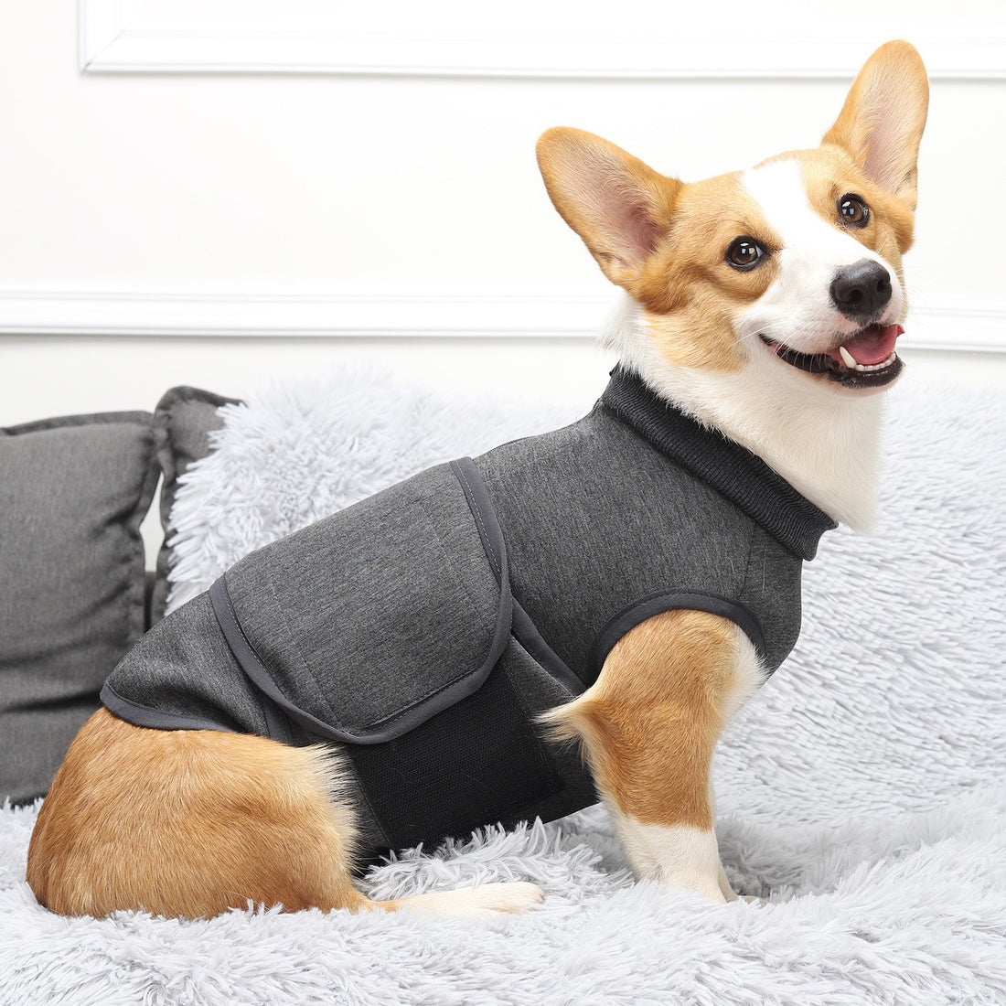 Polyester Cotton Pet Comfort Jacket With Double Layer Design