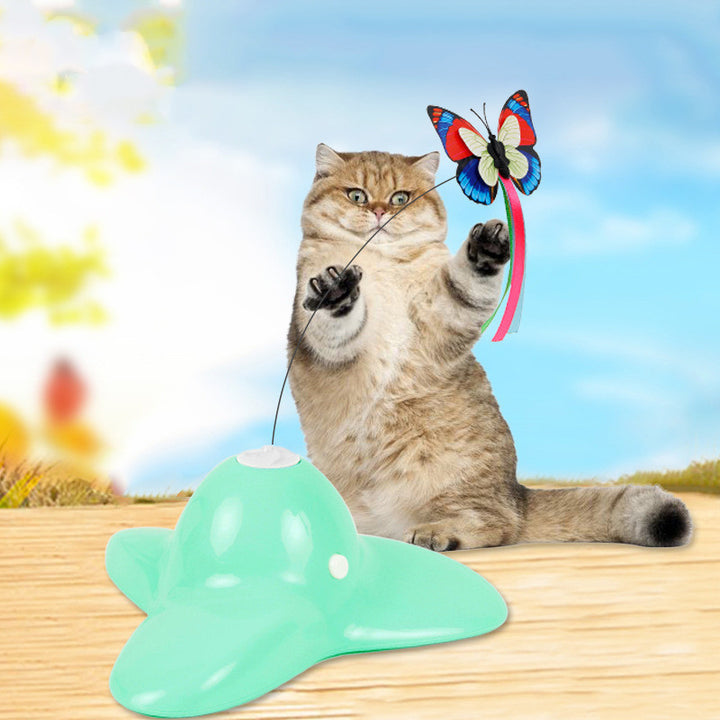 Educational Pet Toy For Interactive Learning And Mental Stimulation