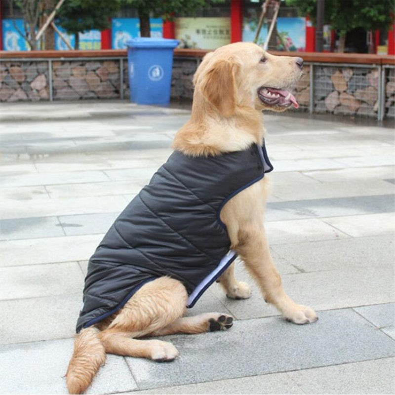 Warm Winter Cotton Pet Coat For Comfortable Everyday Wear