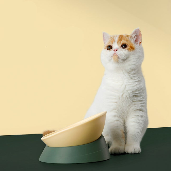 Anti Overturning Double Pet Bowl For Stable Feeding Use