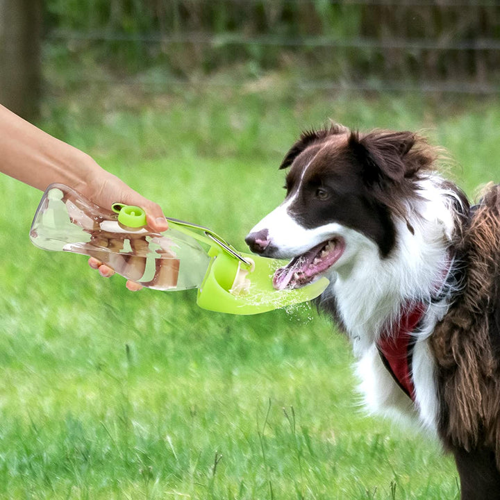 Portable Leak Proof Pet Water Dispenser Bottle With Drinking Cup Bowl