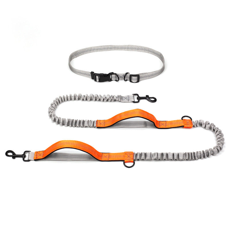 Outdoor Running Pet Leash For Active Walking And Training