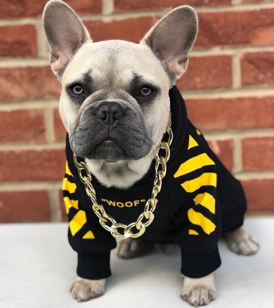 Three Stripe Pet Sweater For Autumn And Winter Sportswear