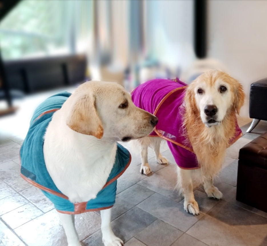 Pet Quick-Drying Absorbent Bath Towel for Grooming