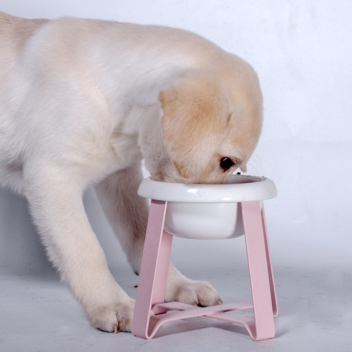2 In 1 Pet Feeding Bowl With Stand And Anti Slip Base