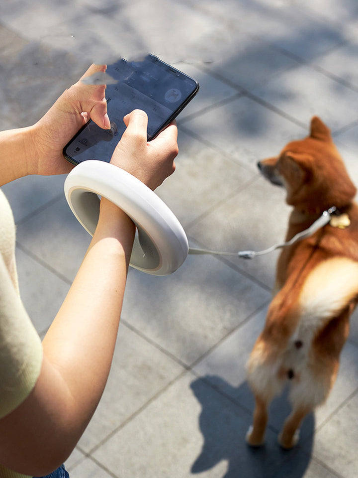 UFO Style Retractable Pet Leash For Small And Medium Pets