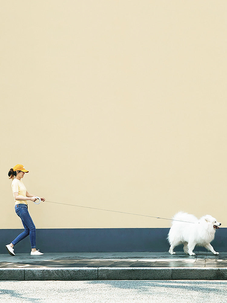 UFO Style Retractable Pet Leash For Small And Medium Pets