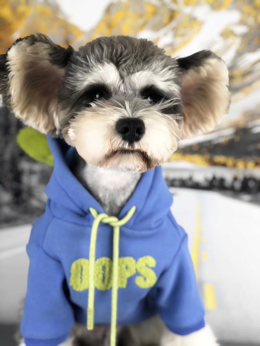 Cotton Pet Sweater For Autumn And Winter Everyday Wear
