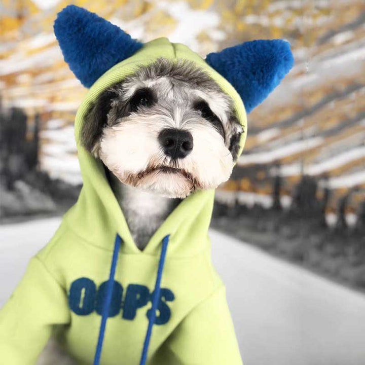 Cotton Pet Sweater For Autumn And Winter Everyday Wear