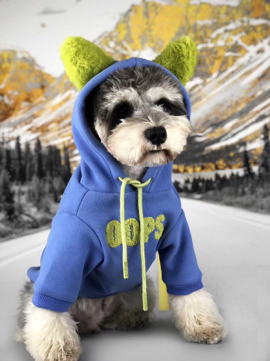 Cotton Pet Sweater For Autumn And Winter Everyday Wear