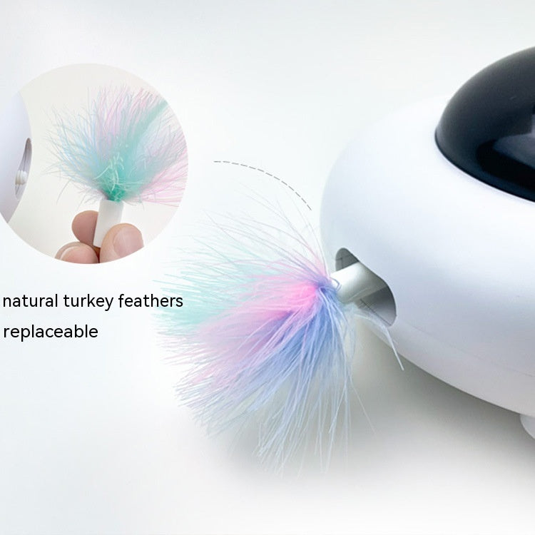 Intelligent Automatic Turntable Electric Pet Toy For Interactive Play