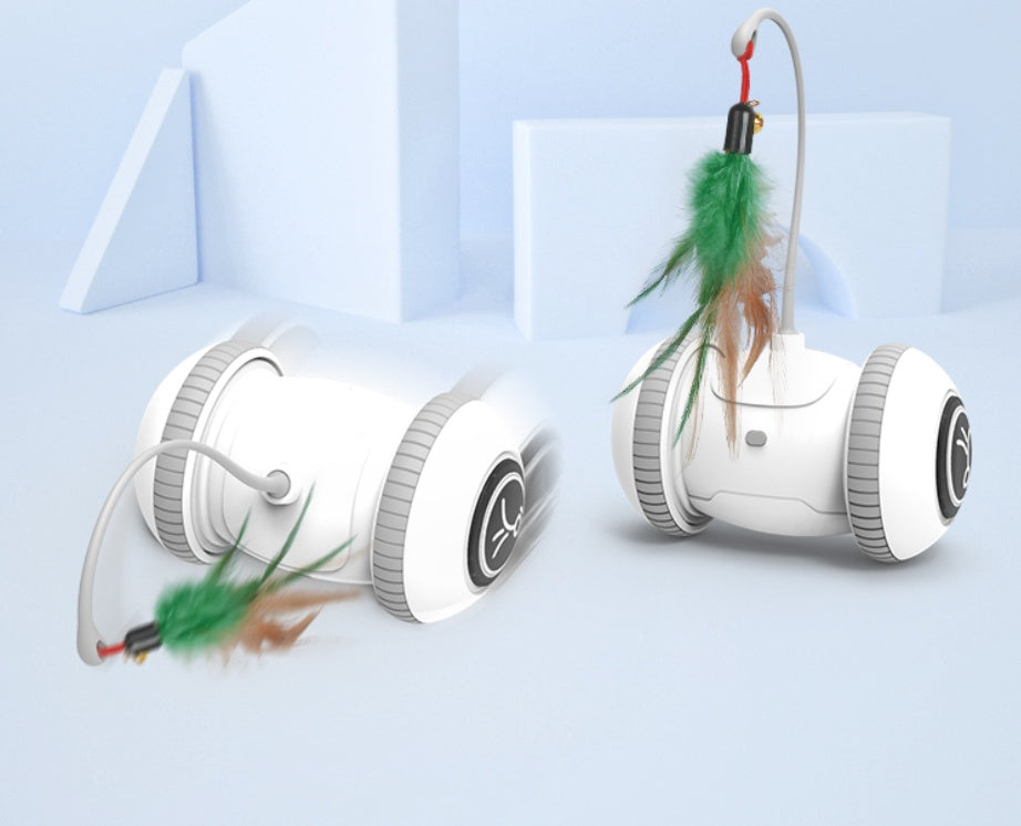 Interactive Pet Toy With Interchangeable Heads And Feather Attachment