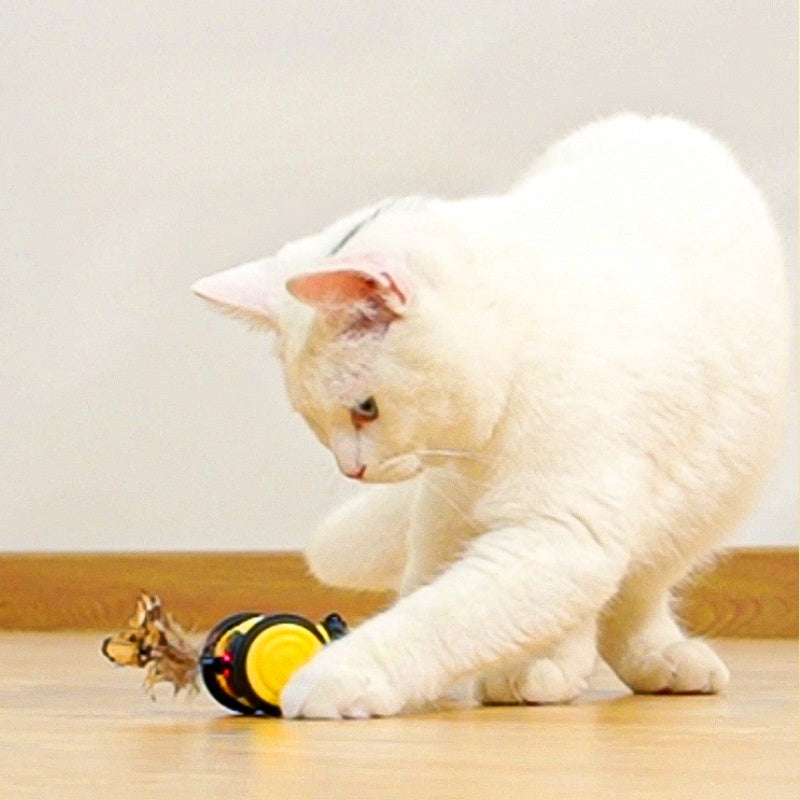 Electric Interactive Moving Pet Toy With Feather Teaser Stick