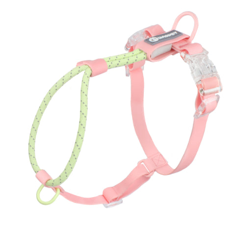 Solid Color PVC Pet Leash Rope For Outdoor Walking Use