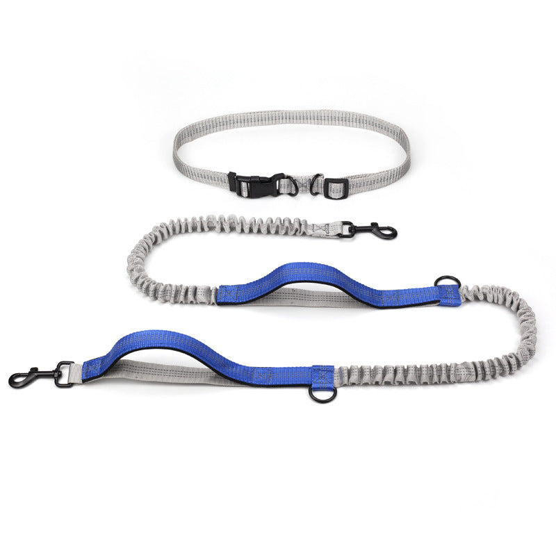 Outdoor Running Pet Leash For Active Walking And Training