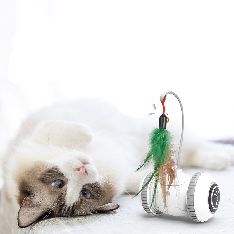 Interactive Pet Toy With Interchangeable Heads And Feather Attachment