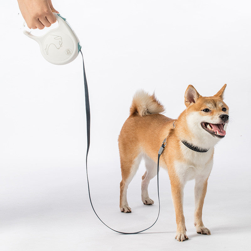 Retractable Pet Leash For Small Medium And Large Pets