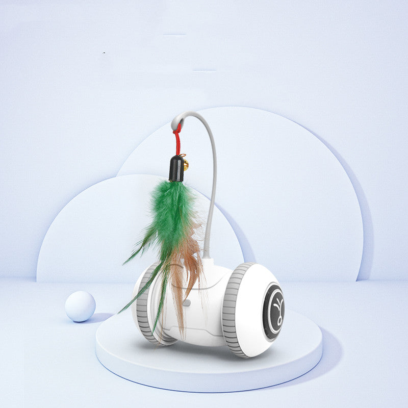 Interactive Pet Toy With Interchangeable Heads And Feather Attachment