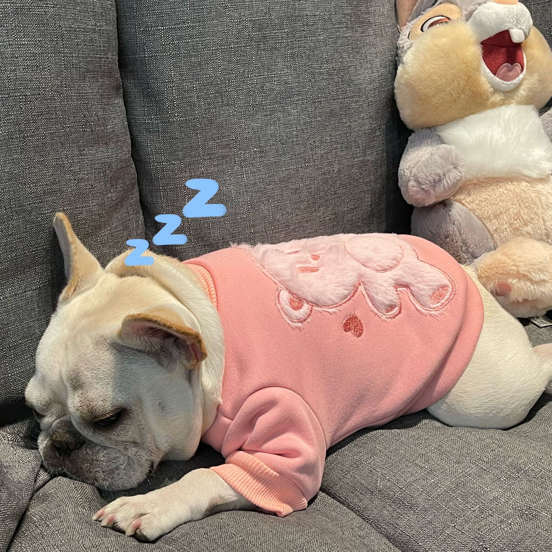 Plush Princess Style Pet Sweater For Warm And Cozy Wear