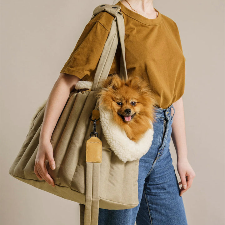 Lightweight Waterproof Pet Carrier Handbag For Outdoor Travel Use