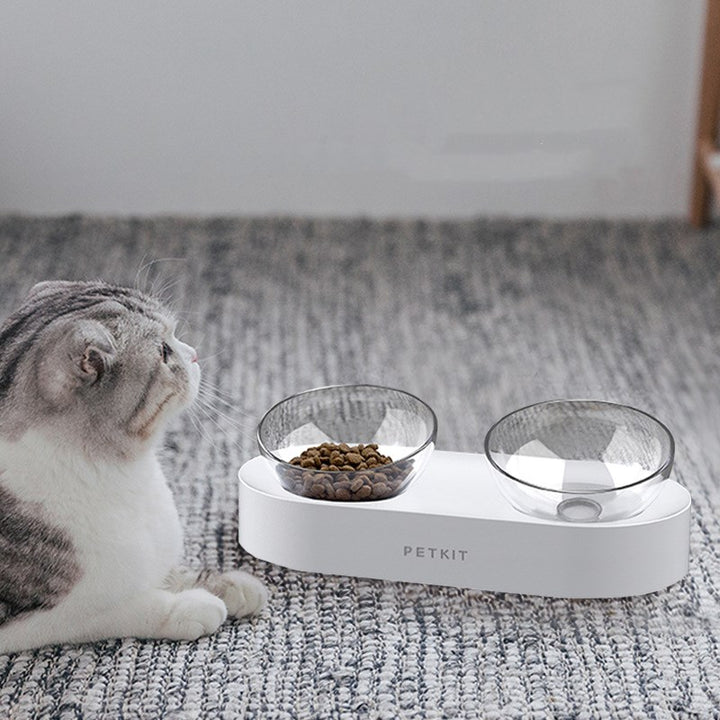 Adjustable Double Pet Bowl With Tilted Design For Food And Water