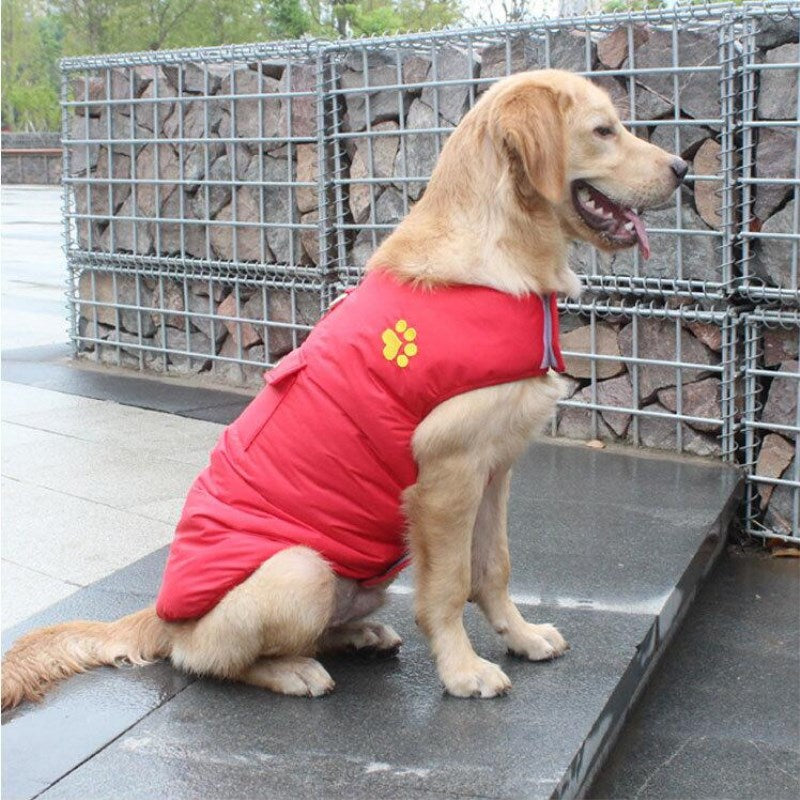 Warm Winter Cotton Pet Coat For Comfortable Everyday Wear