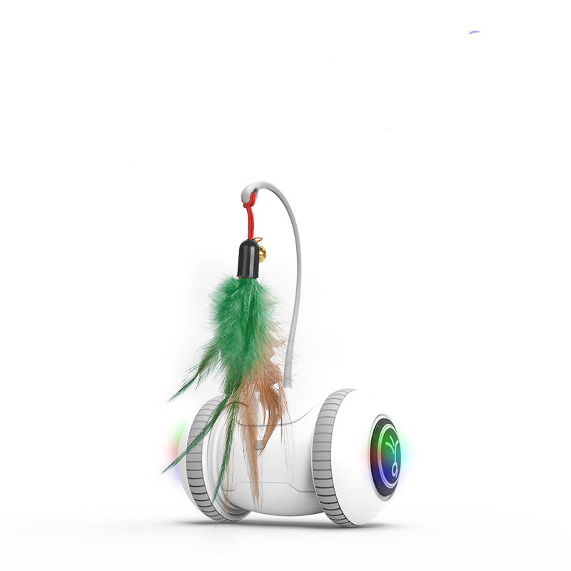 Interactive Pet Toy With Interchangeable Heads And Feather Attachment