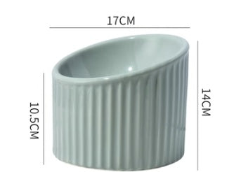 Ceramic Elevated Pet Bowl For Cervical Spine Support Feeding