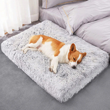 Plush Square Pet Bed With Memory Foam For Deep Sleep