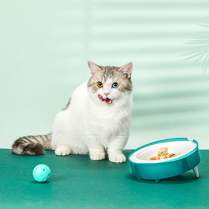 Disposable Portable Pet Food Bowl With Replaceable Eco Friendly Design