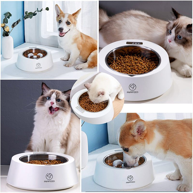 Smart Weighing Slow Feeder Pet Bowl For Healthy Eating