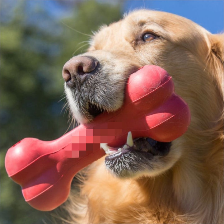 Bite Resistant Rubber Pet Toy For Teeth Grinding