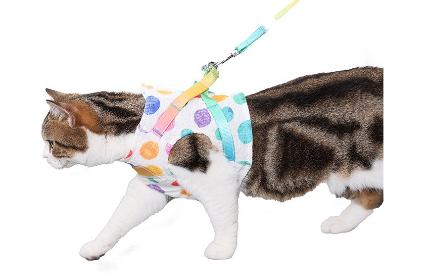 Chest Harness Leash For Small To Medium Sized Pets