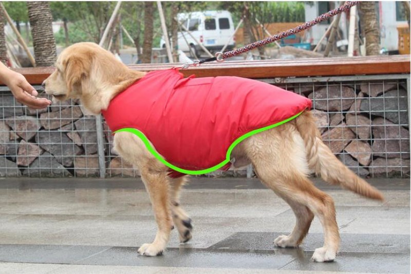 Warm Winter Cotton Pet Coat For Comfortable Everyday Wear