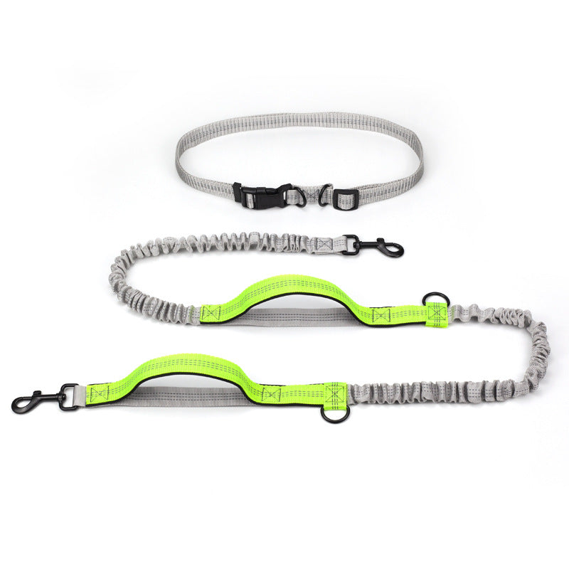 Outdoor Running Pet Leash For Active Walking And Training