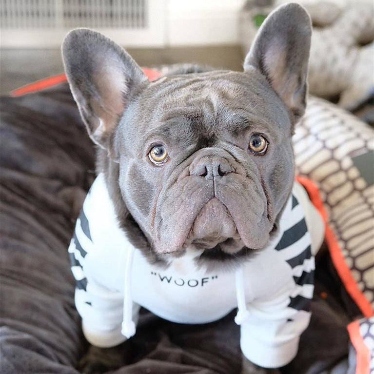 Three Stripe Pet Sweater For Autumn And Winter Sportswear