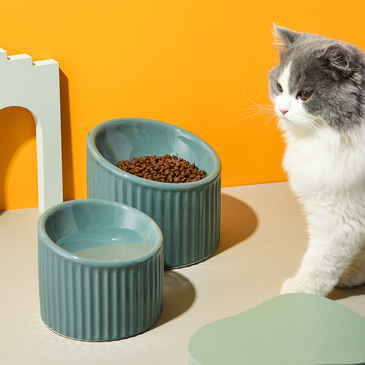 Ceramic Elevated Pet Bowl For Cervical Spine Support Feeding