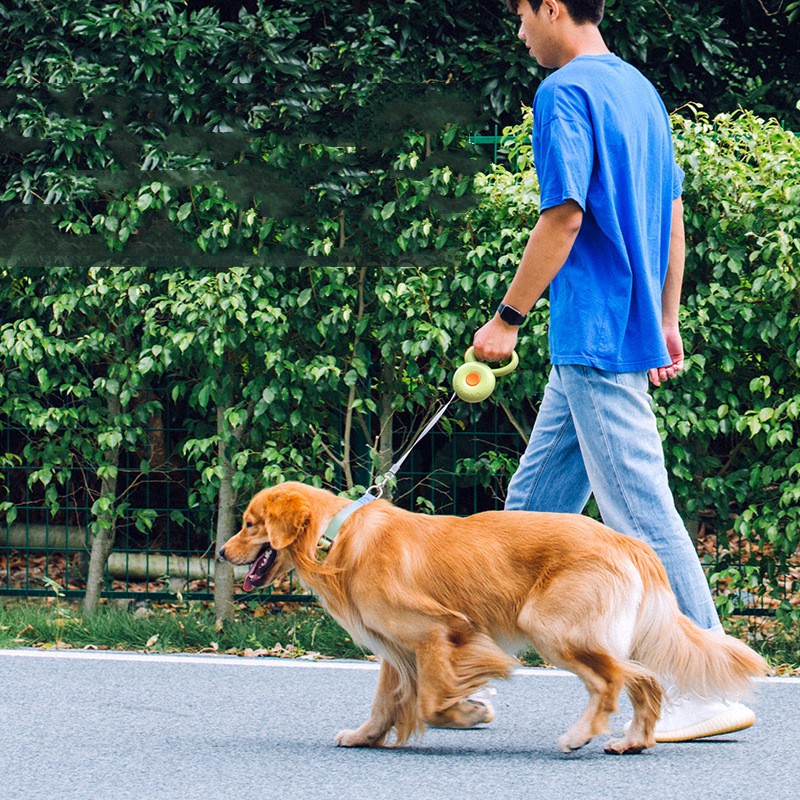 Retractable Reflective Pet Leash For Safe Night Walking