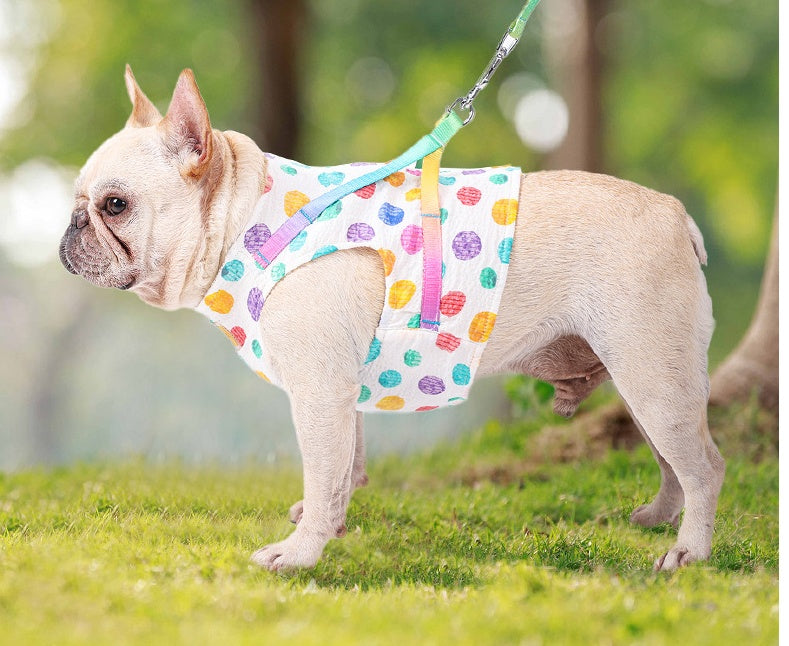 Chest Harness Leash For Small To Medium Sized Pets