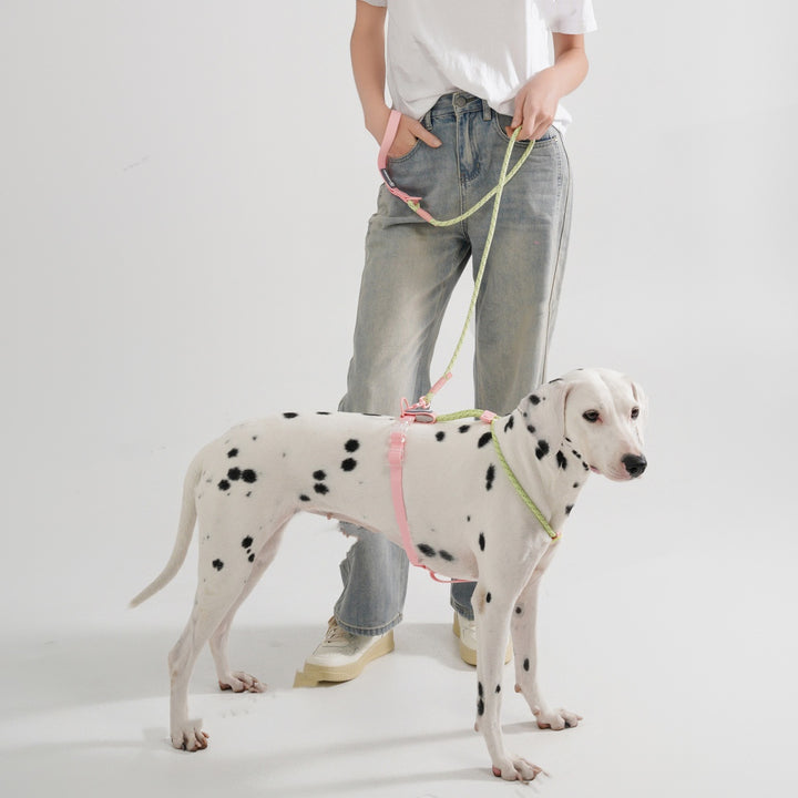 Solid Color PVC Pet Leash Rope For Outdoor Walking Use