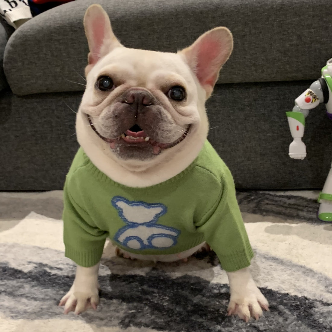 Warm Pet Sweater For Fall And Winter Everyday Wear